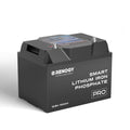 Renogy Pro Deep Cycle Lithium Battery With BT & Heating - 12V 100Ah